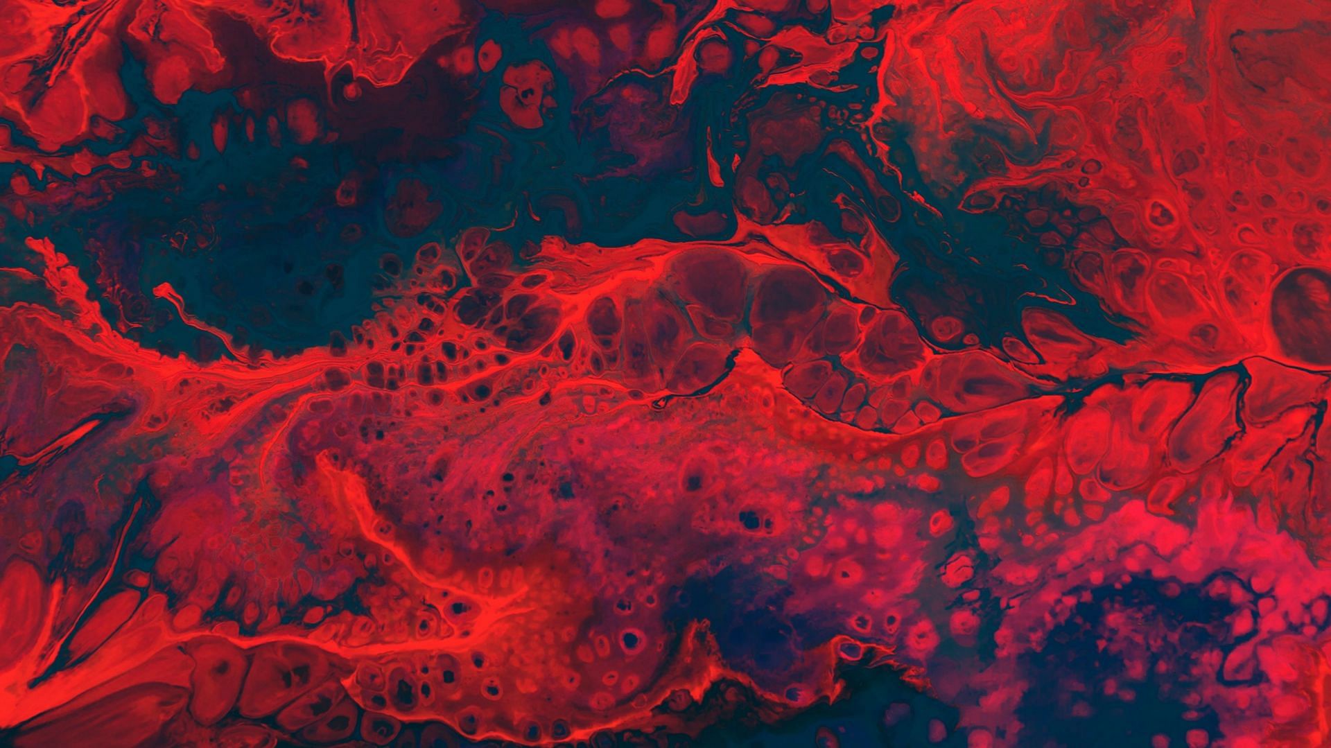 Vitamin K helps in blood clotting(Image by Cassi Josh/Unsplash)